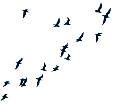 vlucht1