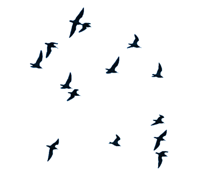 vlucht2
