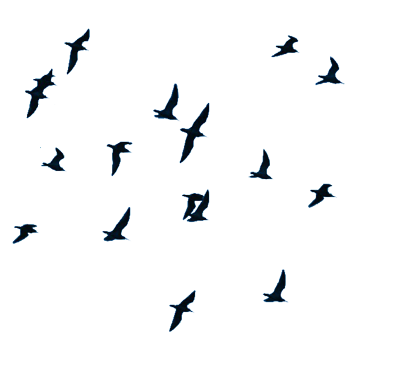 vlucht3